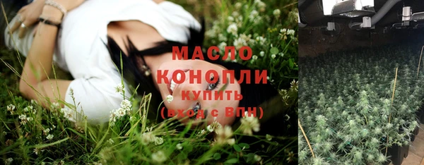 сатива Беломорск
