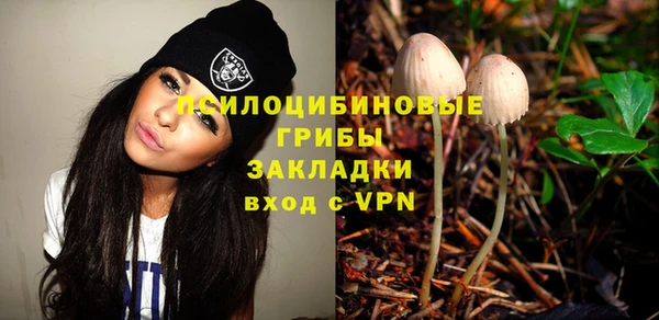 apvp Богданович